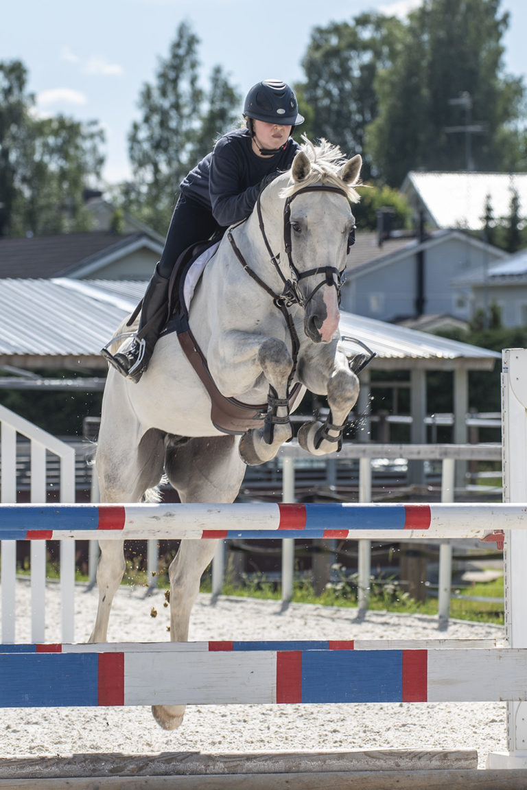 hevoskuvaus ratsastuskuvaus dokumentaarinenkuvaus esteratsastus